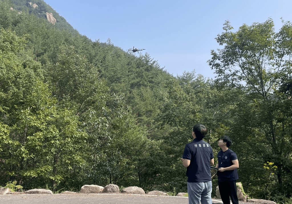 중부지방산림청, 가을철 임산물 불법채취 집중 단속 실시