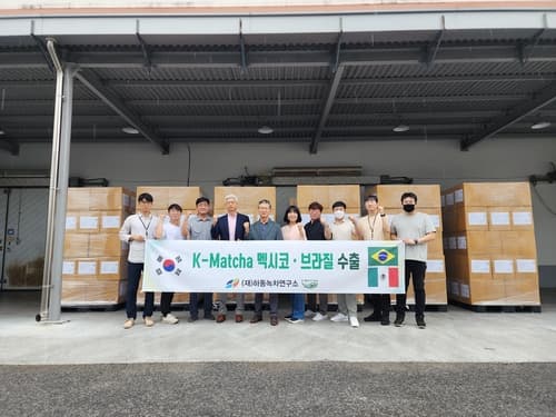 하동녹차연구소, 하동산 가루녹차 'K-Matcha' 멕시코·브라질 수출