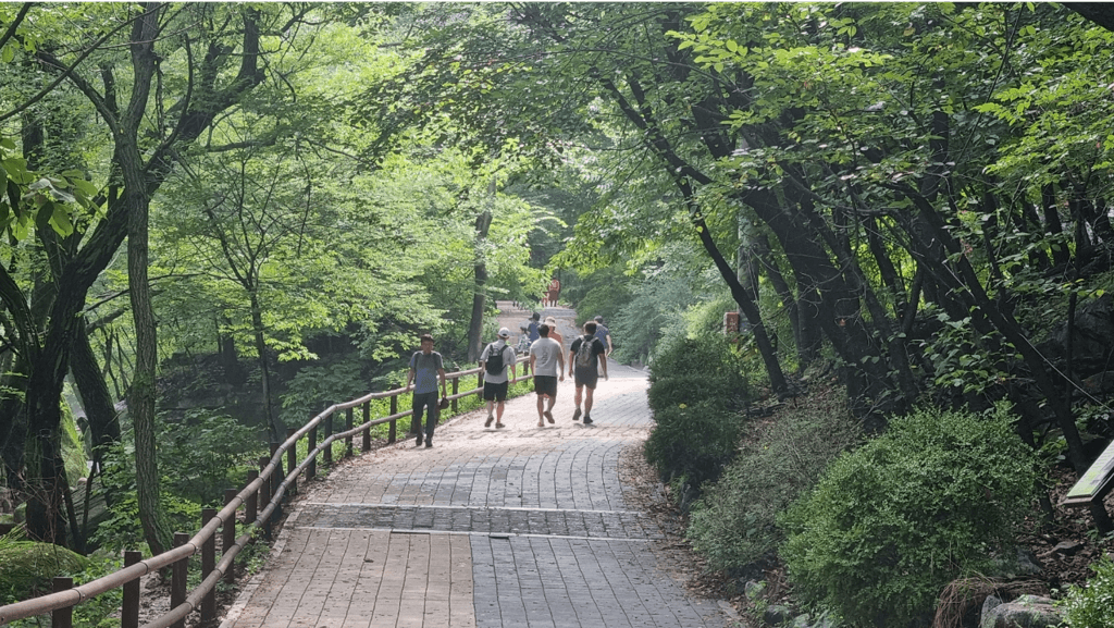 숲, 정서적 회복 환경으로 긍정적 효과 있어!