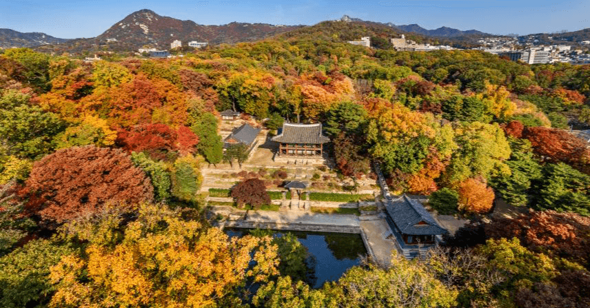 소방관·사회적 배려 대상자 등 초청해 창덕궁 후원 숲길에서 문화행사