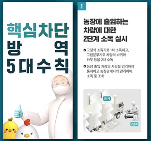 고병원성 AI 유입 막는다…산란계 농장 특별방역 조치 시행