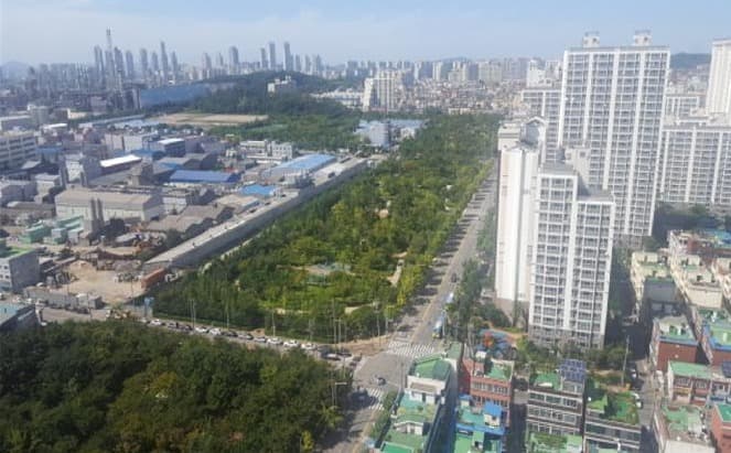 차단숲 조성하니 주거지 미세먼지 농도가 산업단지보다 현저히 낮아!