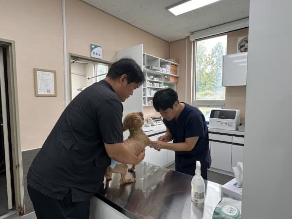 5일부터 모든 동물병원 대상 진료비용 게시 의무화 시행
