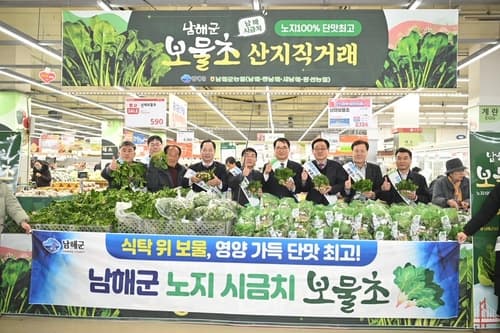 남해군, 해풍 맞은 시금치 보물초 '수도권 소비자 공략'