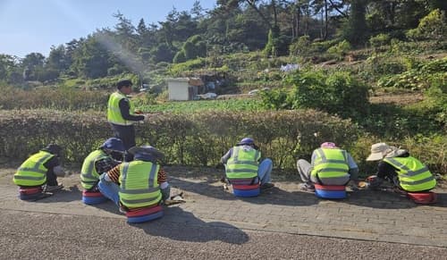 전남도, 취약계층에 지역공동체 일자리 제공
