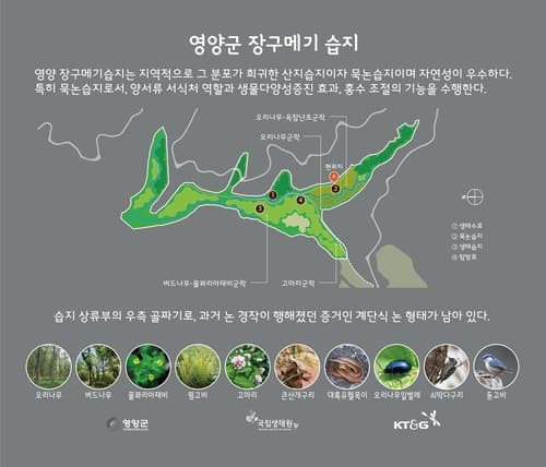 KT＆G, 국립생태원과 함께 '장구메기 습지' 보존 공사 완료