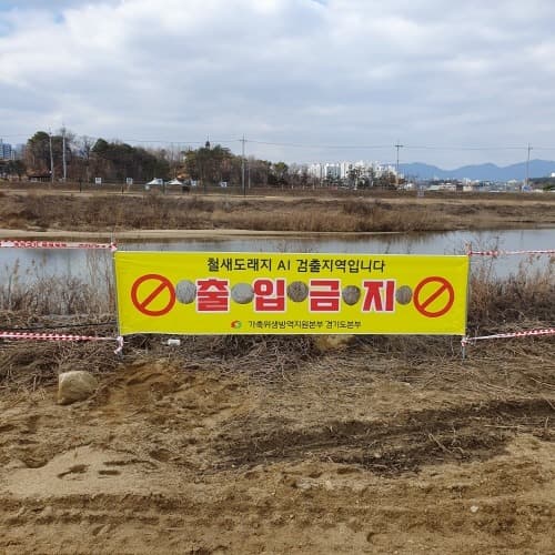 경기도, 3월에도 조류인플루엔자(AI) 차단방역 ‘긴장감’ 유지