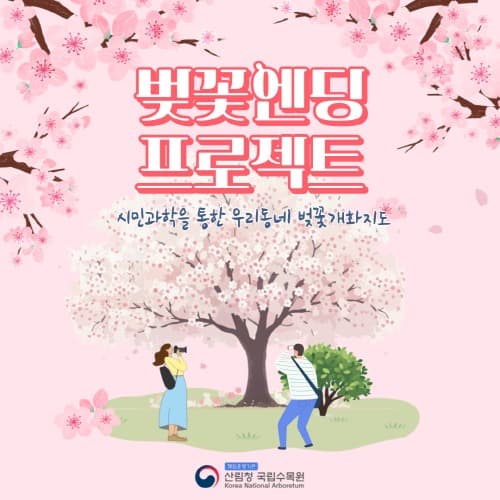 국민과 함께 봄을 그리는, 우리동네 벚꽃 개화지도