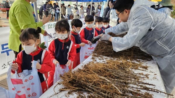 반려나무!! 내 삶 속의 숲 만들기