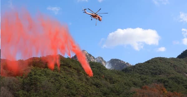 친환경·무독성 산불 지연제, 대형 산불 막는다!