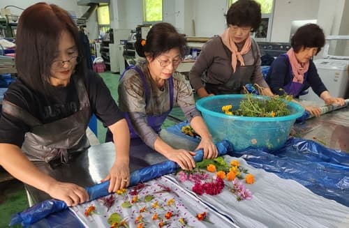 전남도, 지역 수요 맞춤 '동행 일자리사업' 본격 추진