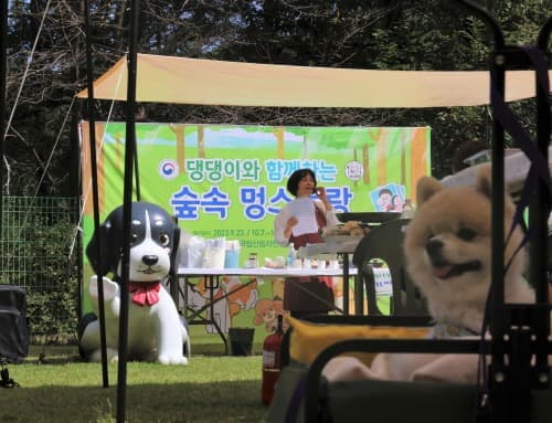 댕댕이와 숲에서 보내는 맛있는 하루!