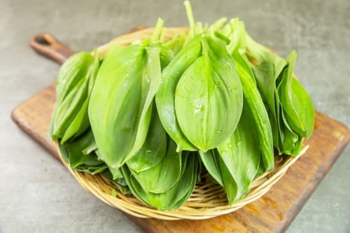 입 안에서 퍼지는 알싸함 ! ‘산마늘’ 드세요!