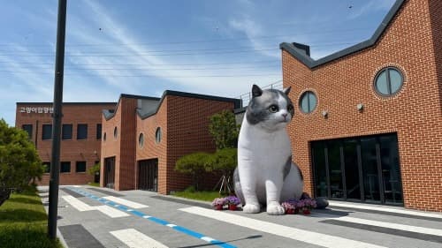 경기도, 고양이 입양센터 개관 1개월 동안 12마리 입양 시켜
