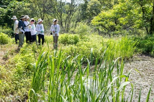 KT, 미래 세대와 함께 비무장지대(DMZ)서 생물다양성 보전 나서