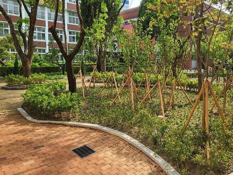 학교숲과 함께 무더위 날려버리세요!