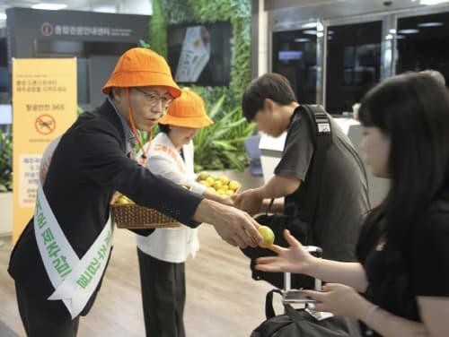 제주공항에서 감귤 나눔 행사..."제주 인심 잘도 좋수다"