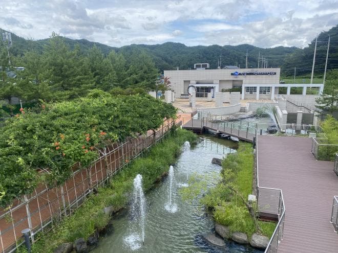 무더운 여름, 민물고기들과 함께 피서를 떠나요~!