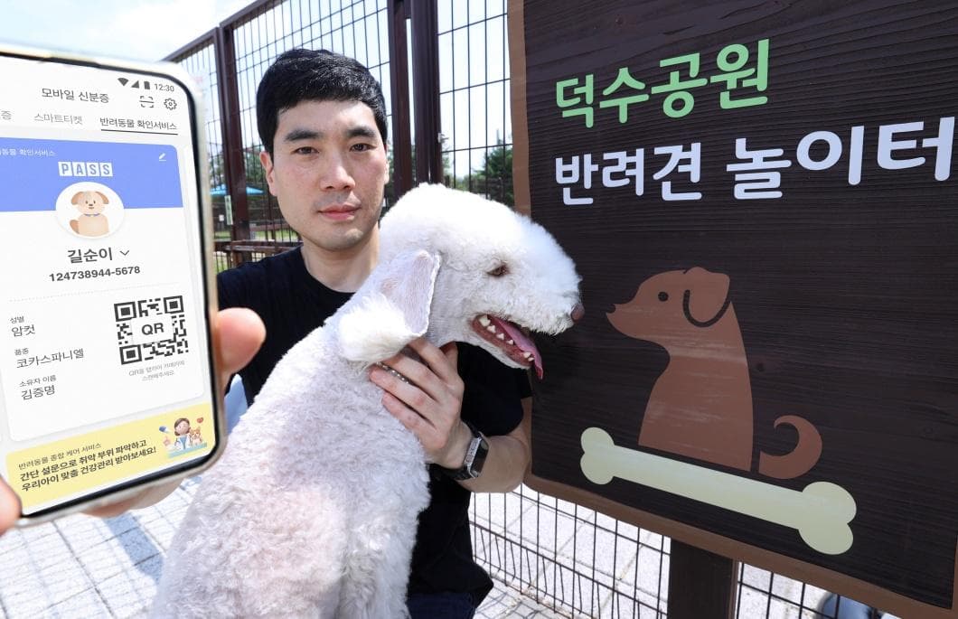 PASS(패스) 모바일 운전면허 확인서비스, 실물 신분증과 똑같이 쓴다