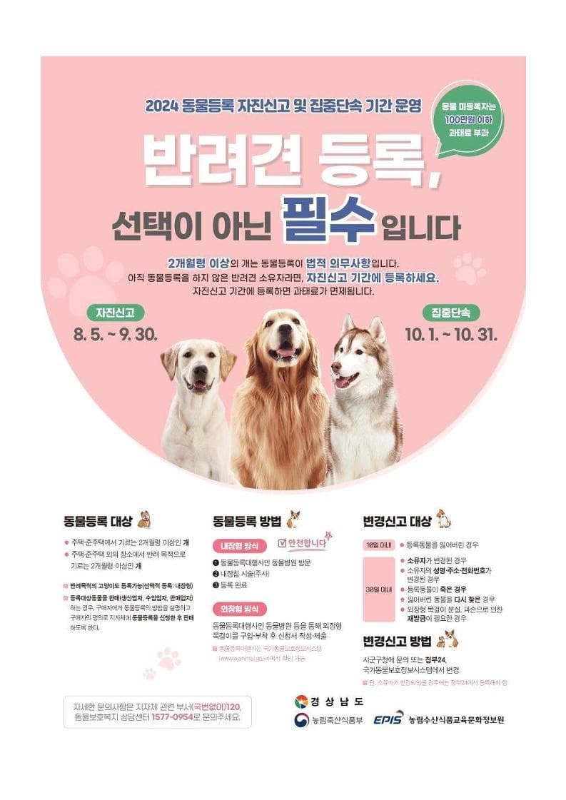 반려견 등록 자진신고 빨리 서두르세요!!