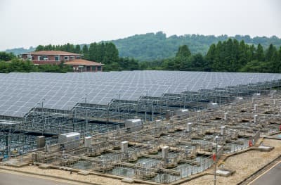 인천시, 상수원 냄새 유발 물질 증가로 수돗물 끓여 마실 것 권고