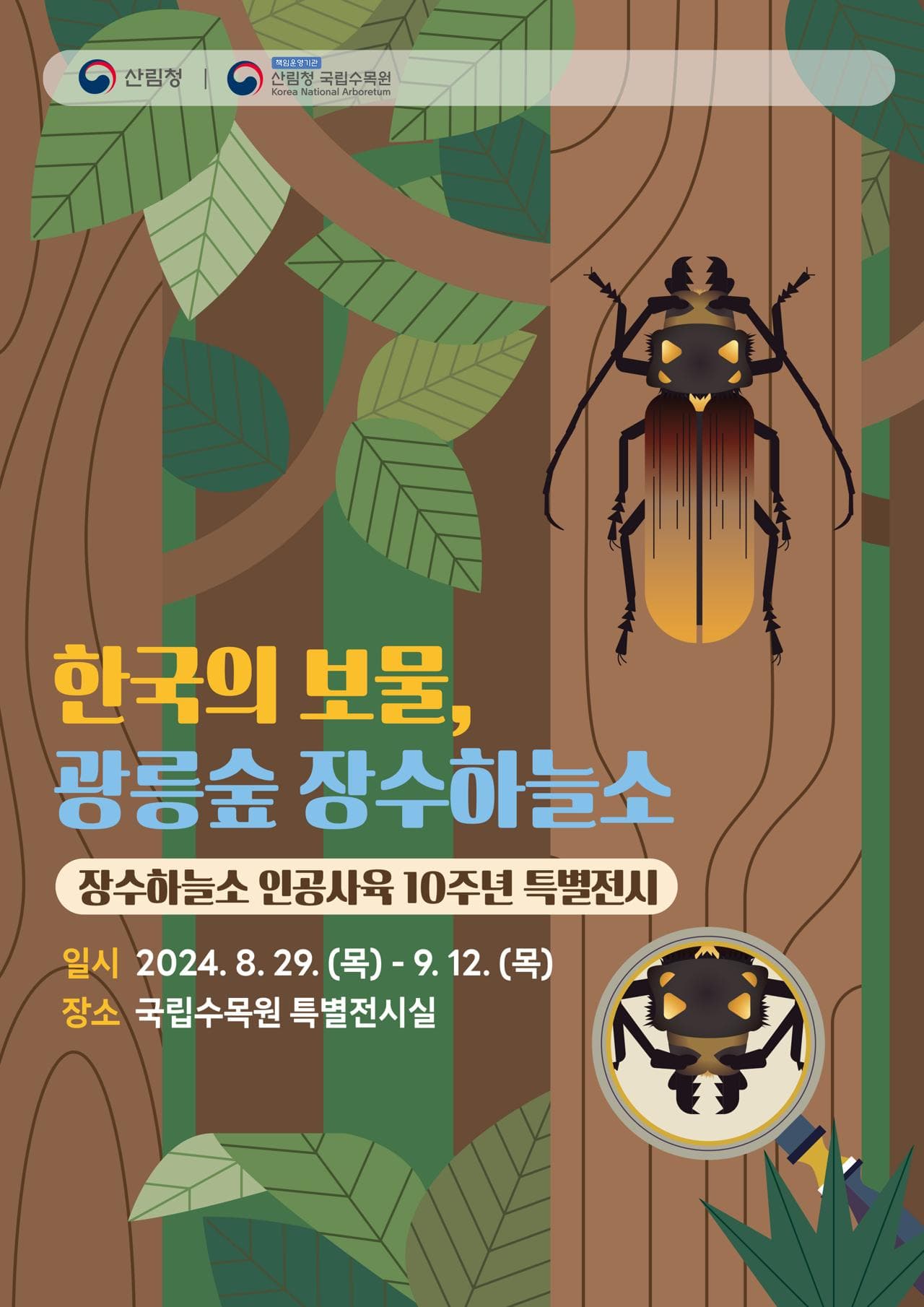 「한국의 보물, 광릉숲 장수하늘소」, 눈앞에서 만나다