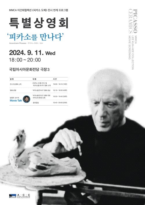 영상으로 만나는 피카소