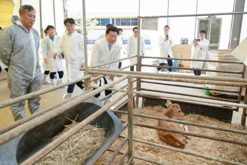‘로봇이 젖소 돌보는 시대’ 제주 축산업 디지털 혁신 속도