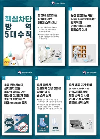올해 동절기 일본 가금농장에서 고병원성 조류인플루엔자 첫 의사환축 발생 확인