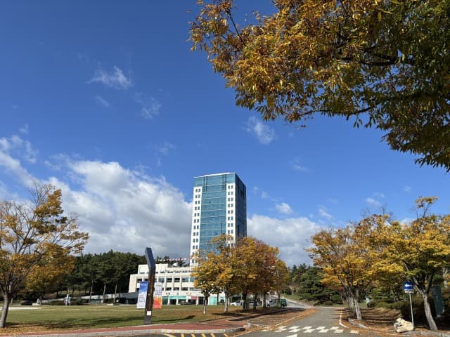 대구대학교 IT융합학과, 2025학년도 편입생 모집