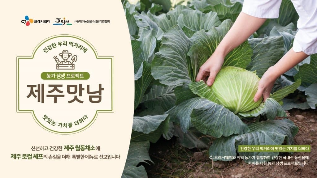 CJ프레시웨이, 농가 상생 위한 ‘제주맛남’ 프로젝트 전개∙∙∙“제주 월동채소로 급식 메뉴 선봬”