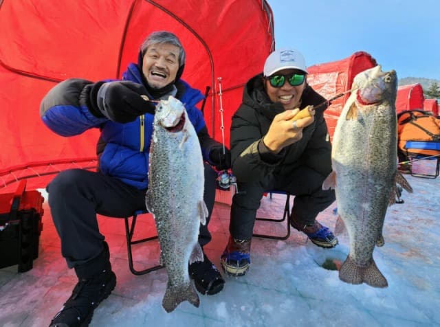 평창송어축제, 2월 9일까지 자유낚시 행사 개최