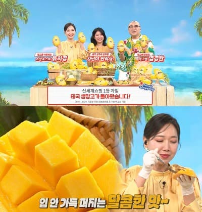 신세계라이브쇼핑, 프리미엄 과일 망고를 국민 과일로… 태국 남독마이 망고 판매 시작