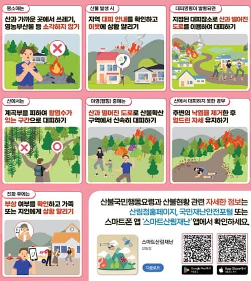 3~4월에 전체 산불의 46% 발생…"건조한 봄철 각별히 주의"