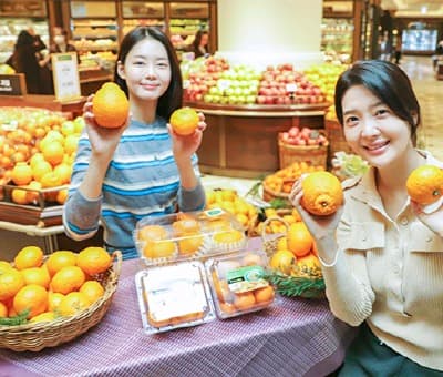 신세계百, 봄을 알리는 제철 제주 만감류 만나보세요