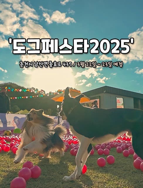 강아지숲 ‘도그페스타 2025’ 22일 개막… 설채현 수의사와 문화 산책 등 이벤트 풍성