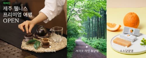 회수다옥 ‘제주 웰니스 프리미엄 여행’ 프로그램 선보여