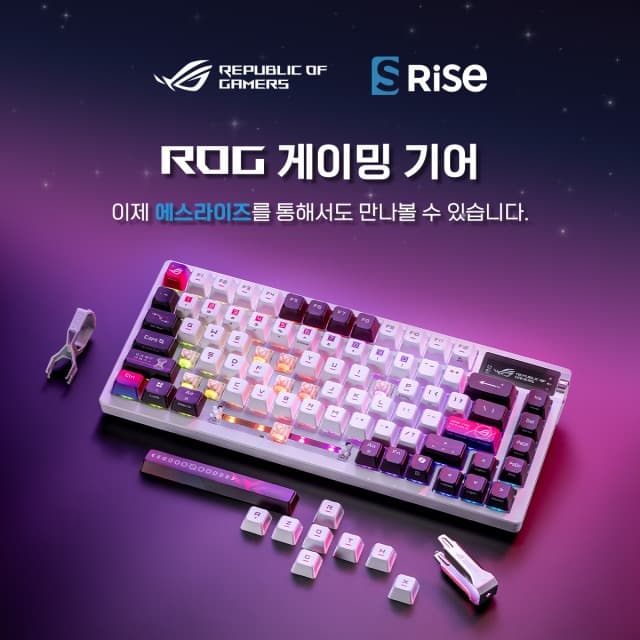 에이수스, ROG 게이밍기어 에스라이즈 국내 유통 개시
