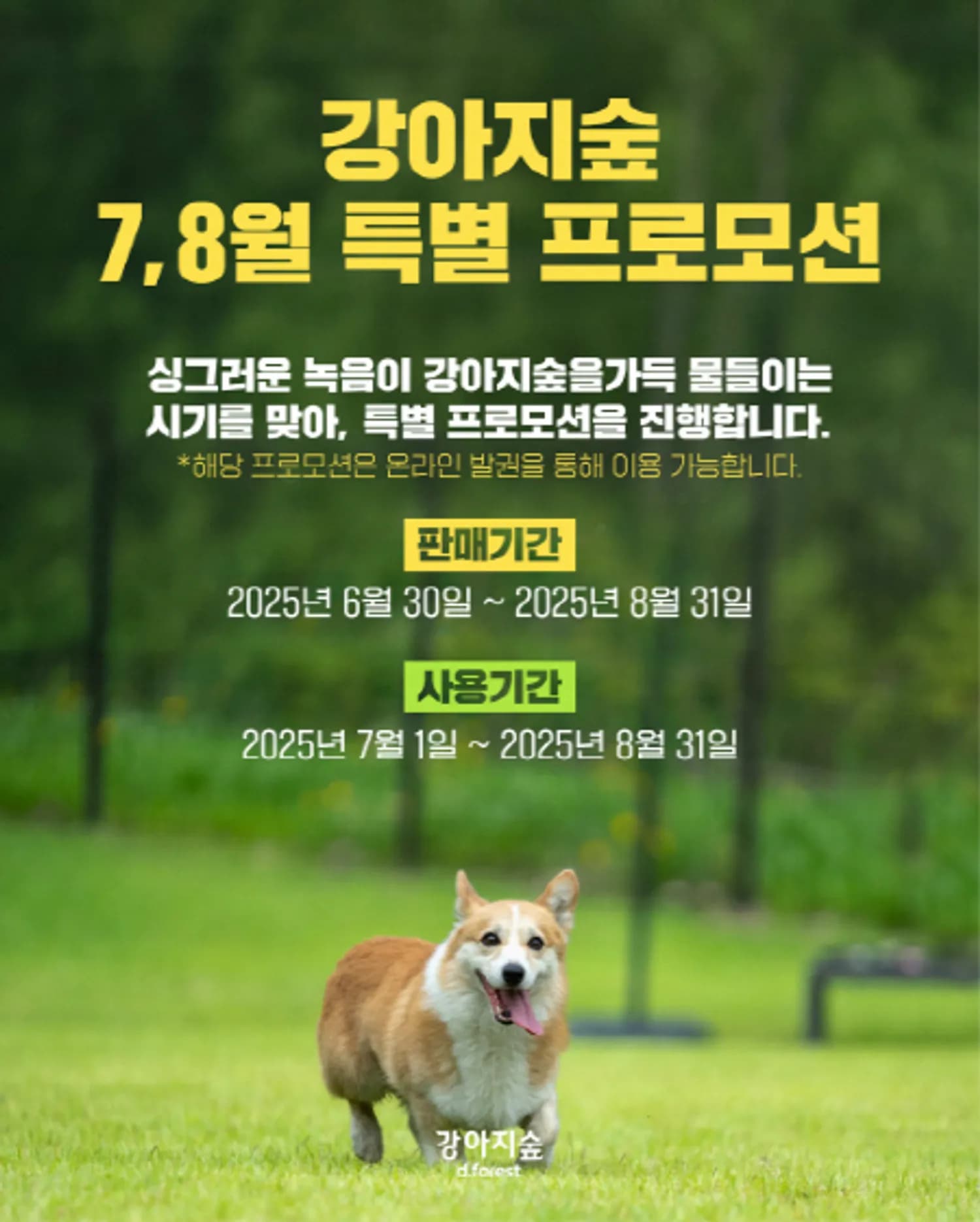 강아지숲, 여름맞이 ‘7~8월 온라인 프로모션’ 진행