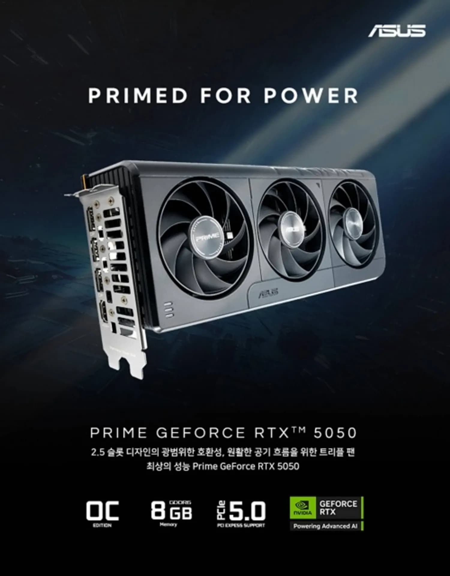 대원씨티에스, ASUS Prime GeForce RTX 5050 OC·Dual GeForce RTX 5050 OC 그래픽카드 2종 출시